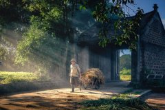 综合旅游服务解决方案